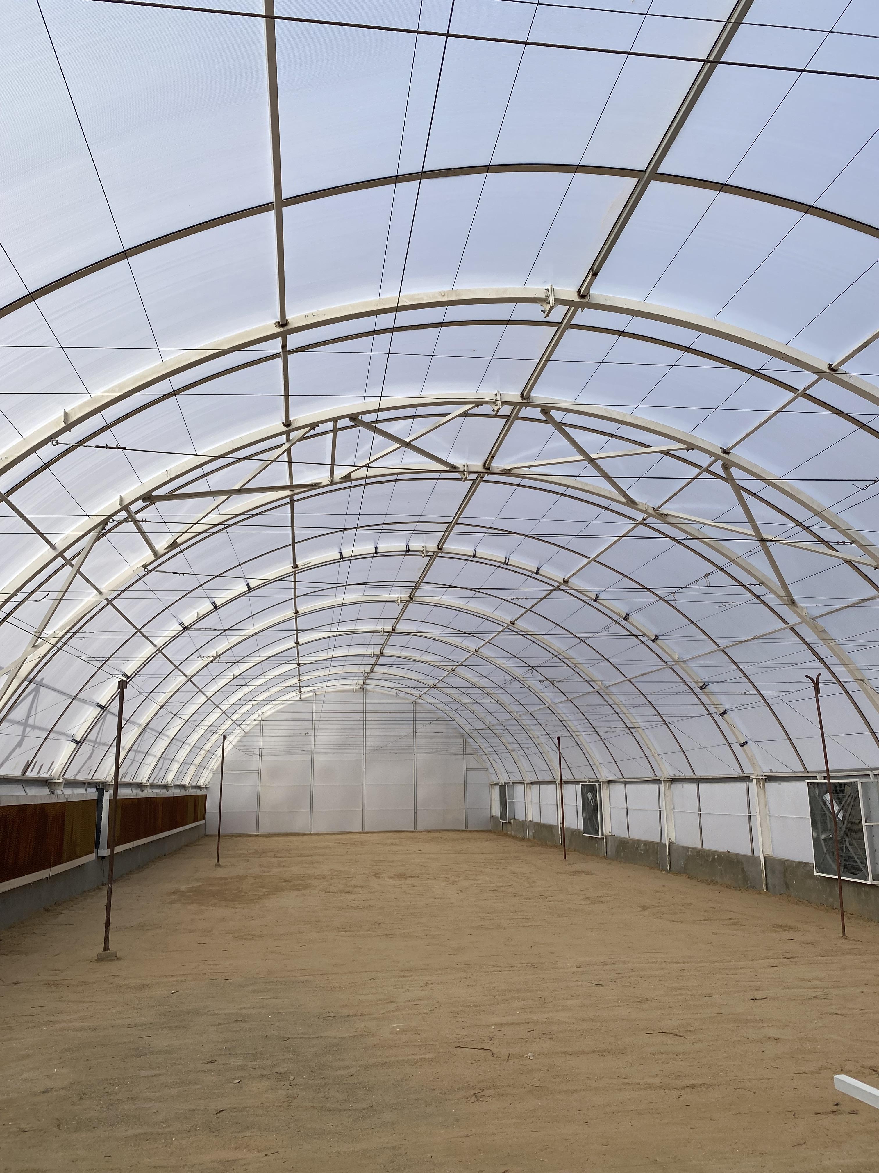 Tulima Greenhouses